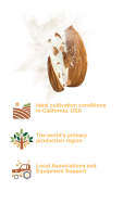 Almondselect​™ 速溶巴旦木粉