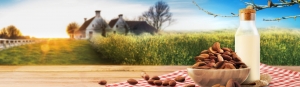 Almondselect​™ 速溶巴旦木粉