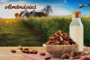 Almondselect​™ 速溶巴旦木粉