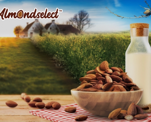 Almondselect​™ 速溶巴旦木粉