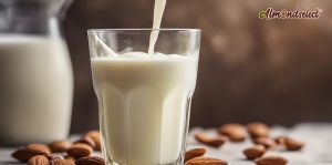 Almondselect​™ 速溶巴旦木粉