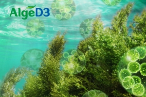 AlgeD3™ 素食維生素 D3