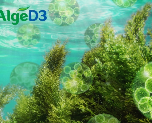 AlgeD3™ 素食維生素 D3