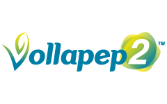 Vollapep2™ 小麥水解蛋白胜肽