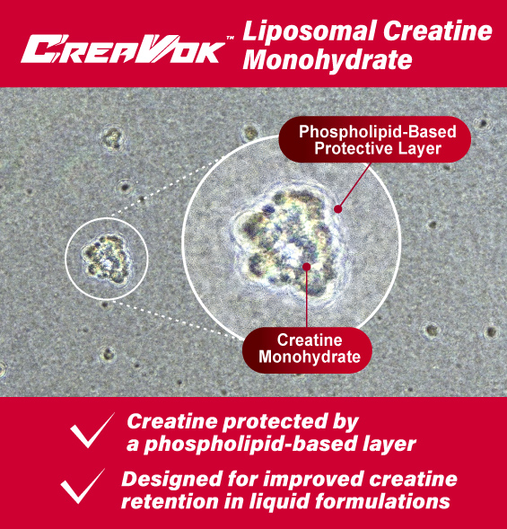 CreaVok_Liposomal Technology