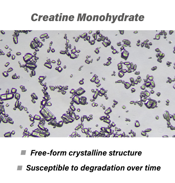 CreaVok_Liposomal Technology